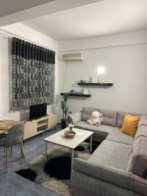 Apartment Near The Centre Of Tirana Bagian luar foto